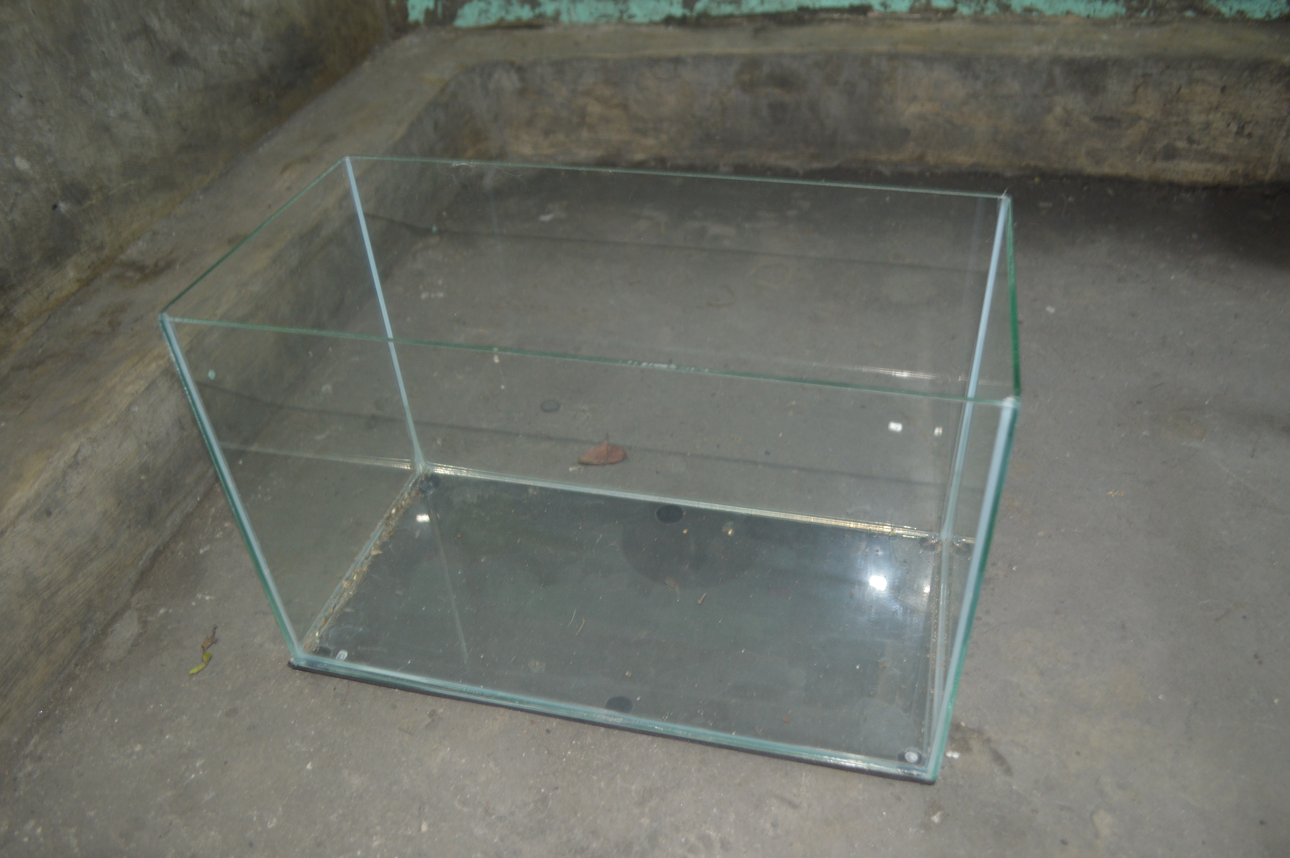 5 gallon Aquarium